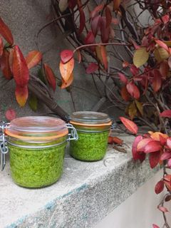 Une photo de Pesto de fanes de radis