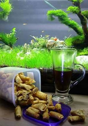 Foto resep Sumpia abon praktis