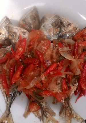 Foto resep Gembung tumis pedas