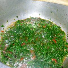 A picture of Spinach#4 weeks challenge.