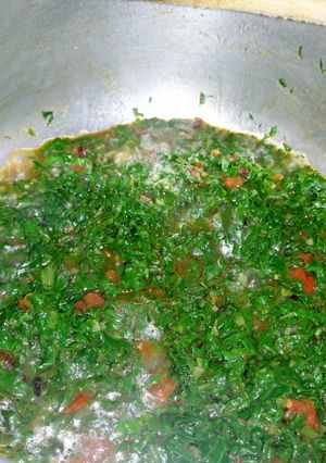 A picture of Spinach#4 weeks challenge.