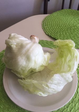 Una foto de Típ para conservar la lechuga