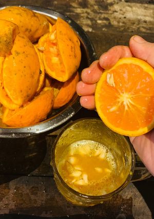 Hình của món Vào bếp cùng con: nước cam vắt Măng Đen.