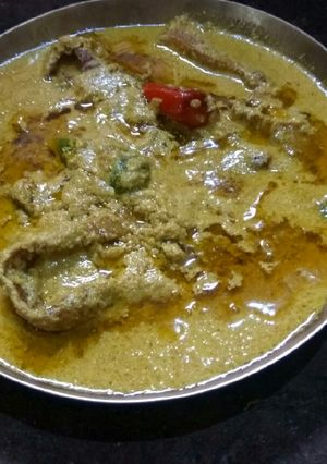 A picture of Bhetki fish with mustard sauce.