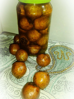 عکسی از دستور شورازگیل (کونوس)