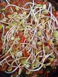 Sambel Ale Mentahan