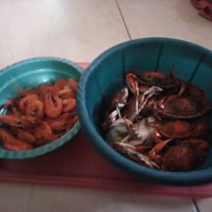 Crabs and Prawns A picture of Crabs and Prawns.