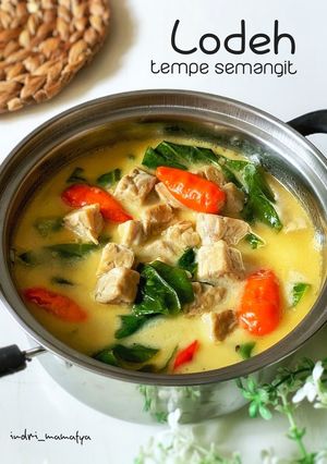 Foto resep Lodeh Tempe Semangit