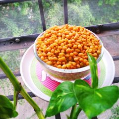 Ragi Boondi A picture of Ragi Boondi.