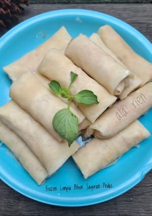 Foto resep Frozen Lumpia Bihun Sayuran Pedas