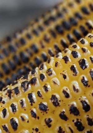 عکسی از دستور بلال کبابی😋🌽