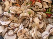 Gambar jamur jamur kancing