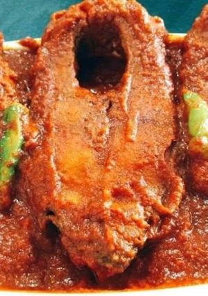 কাতলা মাছের কালিয়া (অনুষ্ঠান বাড়ির স্টাইলে) রেসিপির প্রধান ছবি