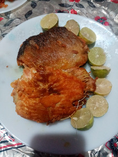 عکسی از دستور ماهی
