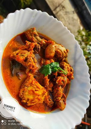 A picture of Gravy Chicken.