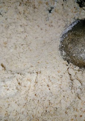 Foto resep Uyah tempe