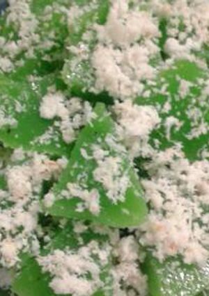 Foto resep Kue lumpang versi ngarang