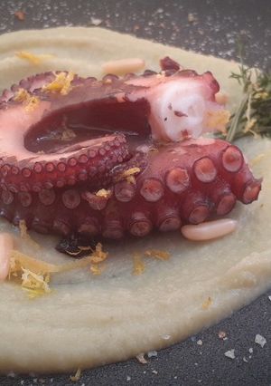 Foto di Polpo scottato su crema di vruoccuoli arriminati e finocchietto