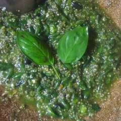 Karedok Leunca Endolita Tiada Tara 😋 রেসিপির প্রধান ছবি
