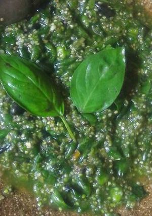 Foto resep Karedok Leunca Endolita Tiada Tara 😋