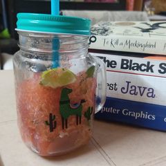 A picture of Watermelon mint mojito.