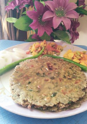 મલ્ટી ગે્ઈન થેપલા (Multigrain Thepla Recipe in Gujarati) રેસીપી મુખ્ય ફોટો