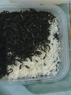 Foto resep Puding jagung vla coklat