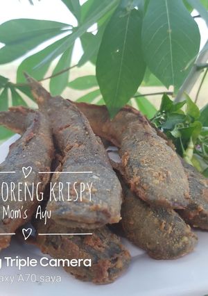 Foto resep 148. Lele Goreng Krispy