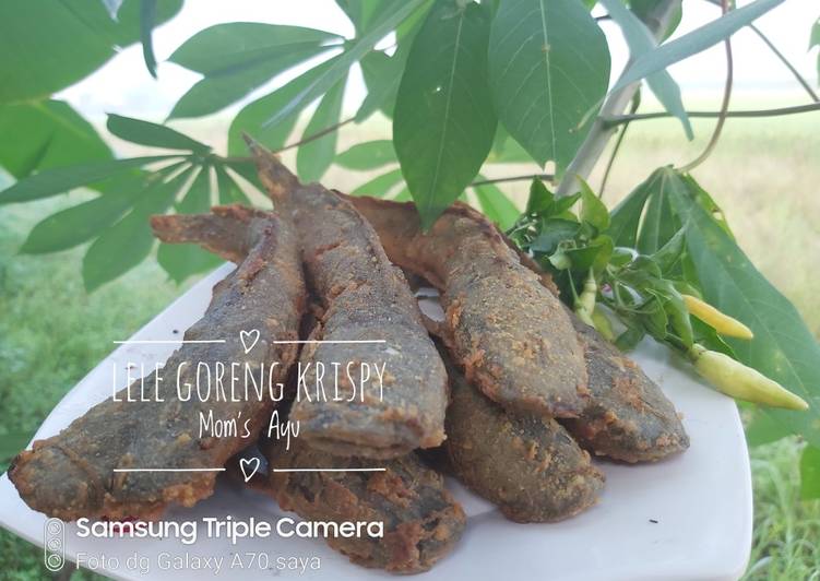 Bagaimana Menyiapkan Lele Goreng Krispy Anti Gagal