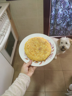 Una foto de Tortilla patata