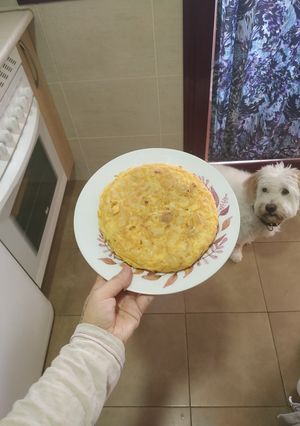 Una foto de Tortilla patata