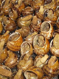 Una foto de Caracoles cocidos al horno