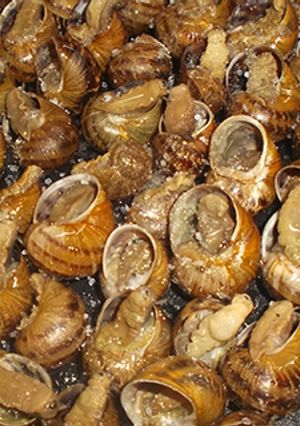 Foto principal de Caracoles cocidos al horno