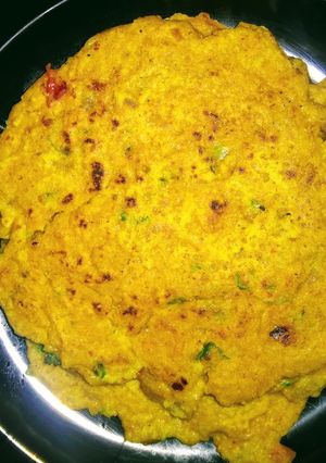 A picture of Oats chilla.