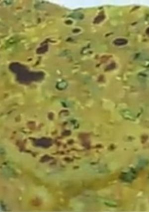 મેથીના થેપલા (Methi Thepla Recipe In Gujarati) રેસીપી મુખ્ય ફોટો