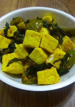 पुदिना पनीर मसाला (pudina paneer masala recipe in marathi) रेसिपी चे मुख्य फोटो 