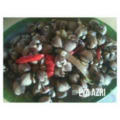 รูปของ Kerang dara saus tiram