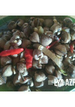 Foto resep Kerang dara saus tiram