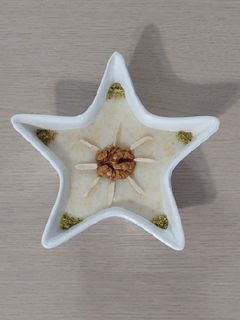 عکسی از دستور فرنی عسلی کنجدی