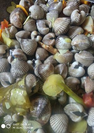 Foto resep Kerang dara sederhana