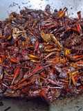 Walang Goreng (Belalang Goreng)