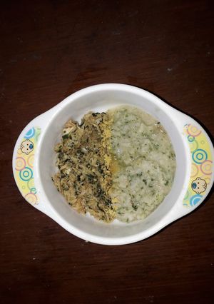Foto resep Mpasi 9mo+ tim nasi brokoli ayam suwir