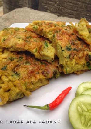 Foto resep Telur Dadar Ala Padang