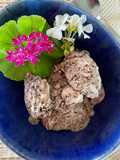 Bananen-Stracciatella-Eis