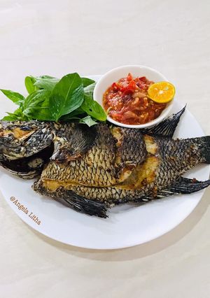 Foto resep Ikan mujaer + sambal kemangi