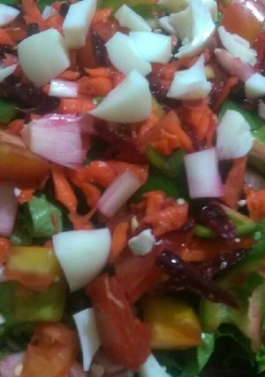 A picture of Salad 101.