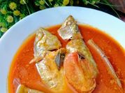 Gambar ikan kembung bendi