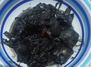 Gambar balakutak hitam 1kg