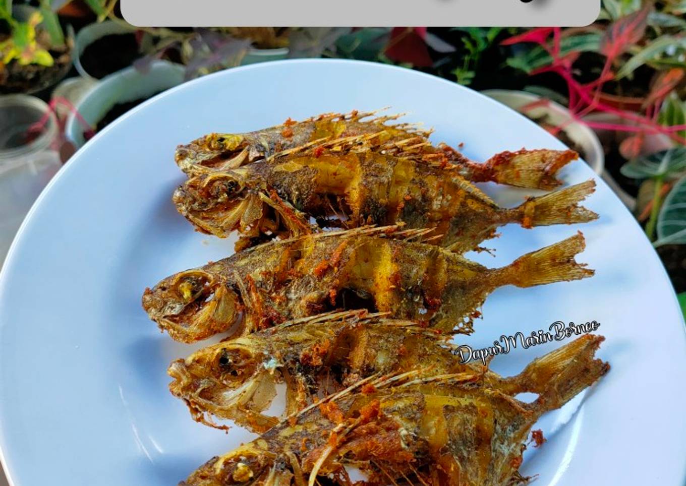 307. Ikan Bawis Goreng