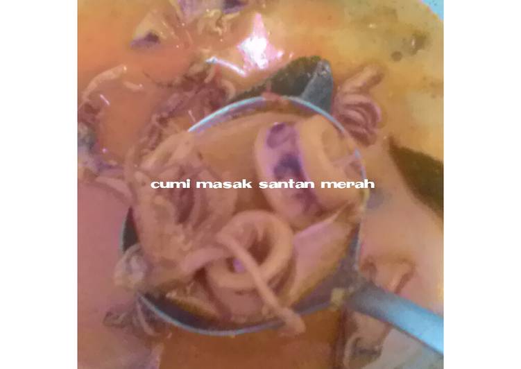 Resep Cumi masak santan merah, Bikin Ngiler